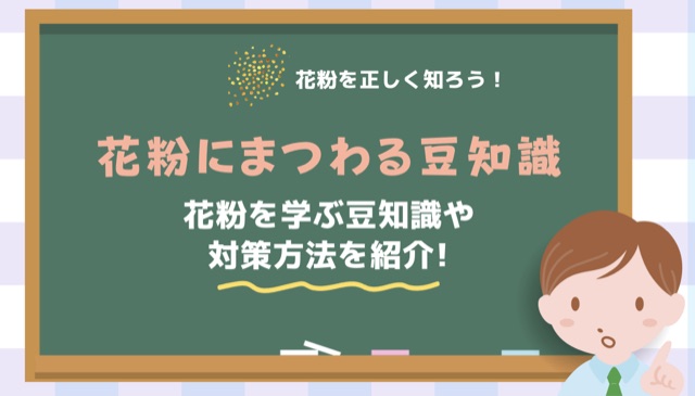 サイネージ動画
